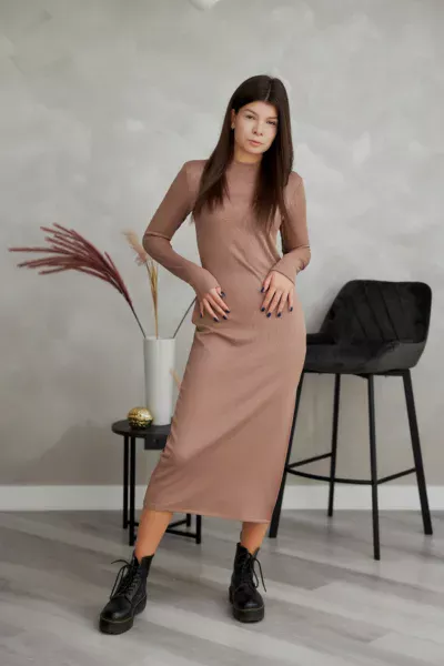 Сукня жіноча Estilo повсякденна-casual мустанг на флісі капучиновий 01-206